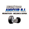 Anicur S.L. - Logo