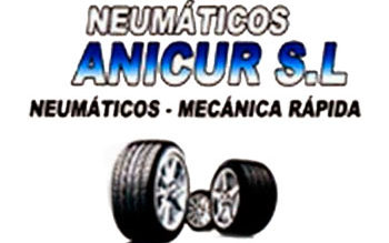 Anicur S.L. - Logo